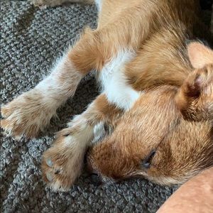 Meet your Posher, Miranda